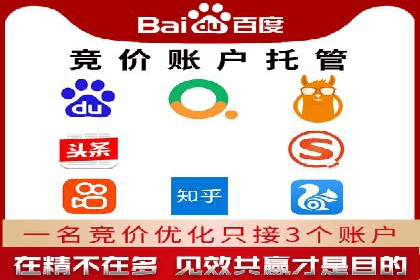 百度竞价代理技巧：经典成功案例解析