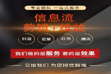 深入了解SEM代运营服务公司的技术实力